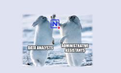 Featured image of post How NocoDB makes Data Analysts and Administrative Assistants become friends again
