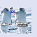 How NocoDB makes Data Analysts and Administrative Assistants become friends again